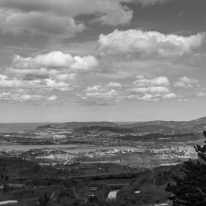 VISTAS DE LA ARBOLEDA